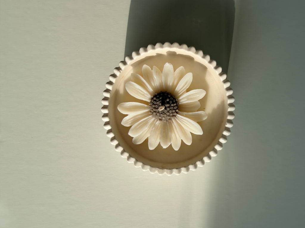 Daisy Solo Bloom Jesmonite Vessel with Candle & Daisy – 8×4 cm